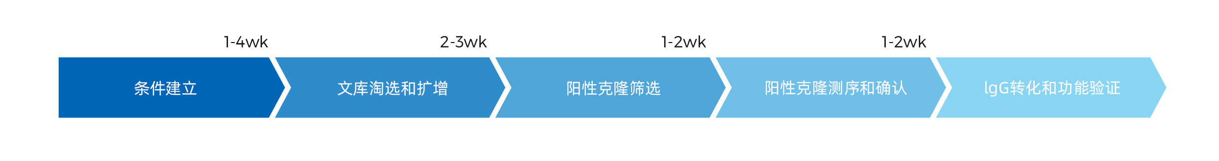 筛选流程和时间表